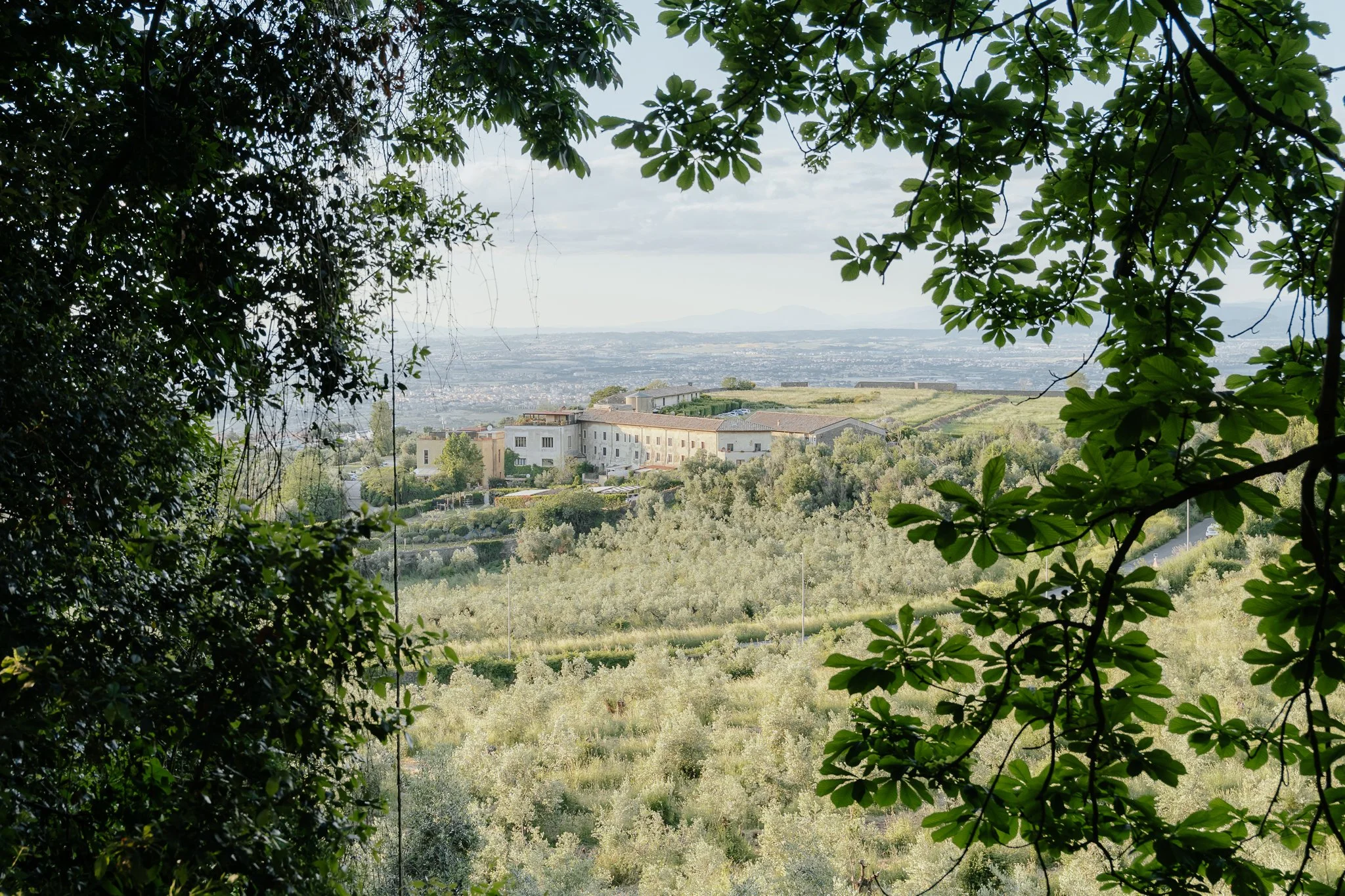 A scenic view of a large ancient building perched on a hill in Rome, Italy, surrounded by green trees and grapevines, with a distant cityscape and mountains in the background, framed by leaves in the foreground.