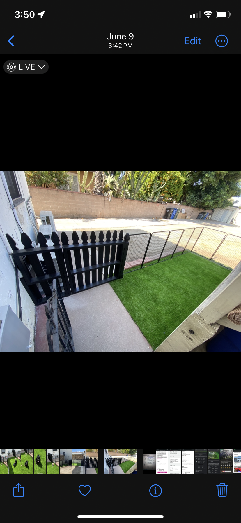 DOG RUN install