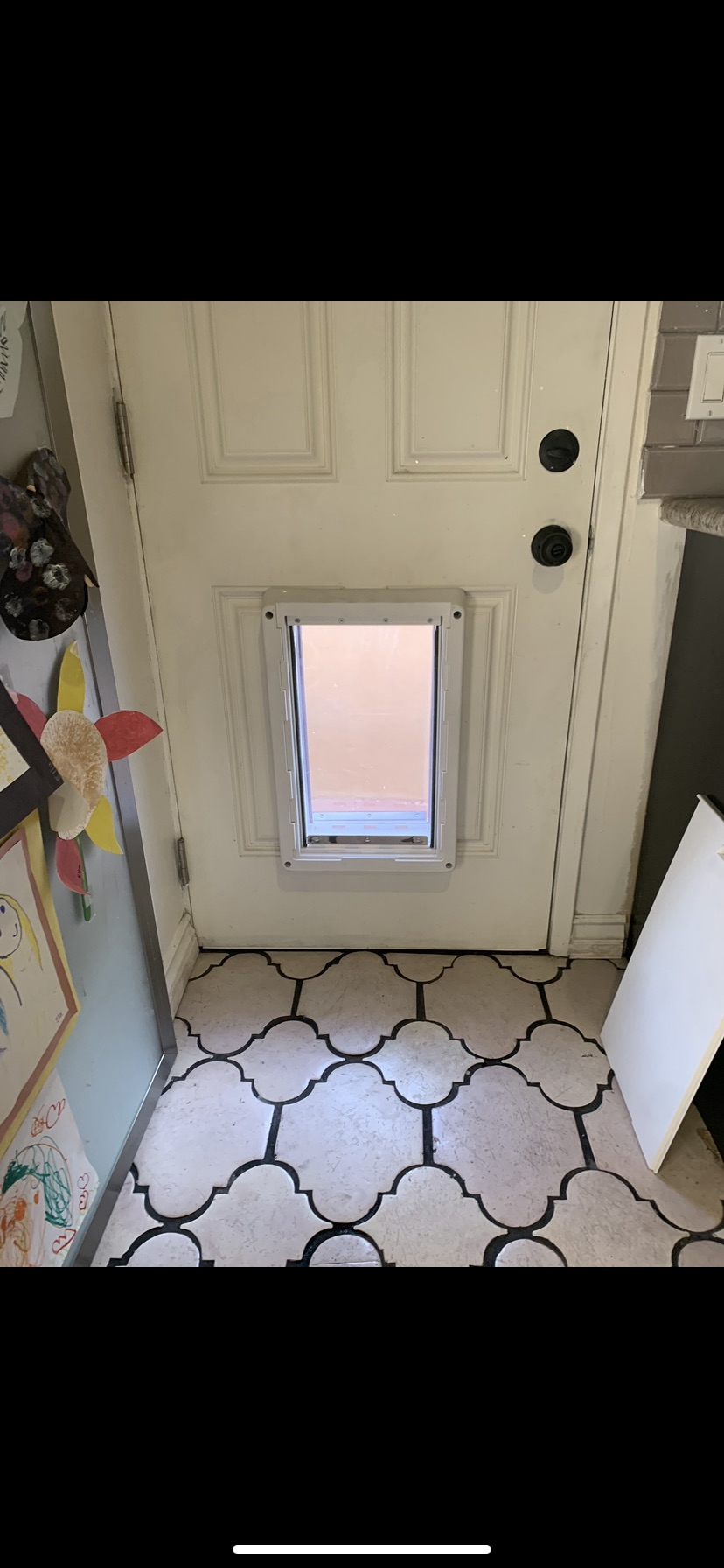 DOGGY DOOR Install