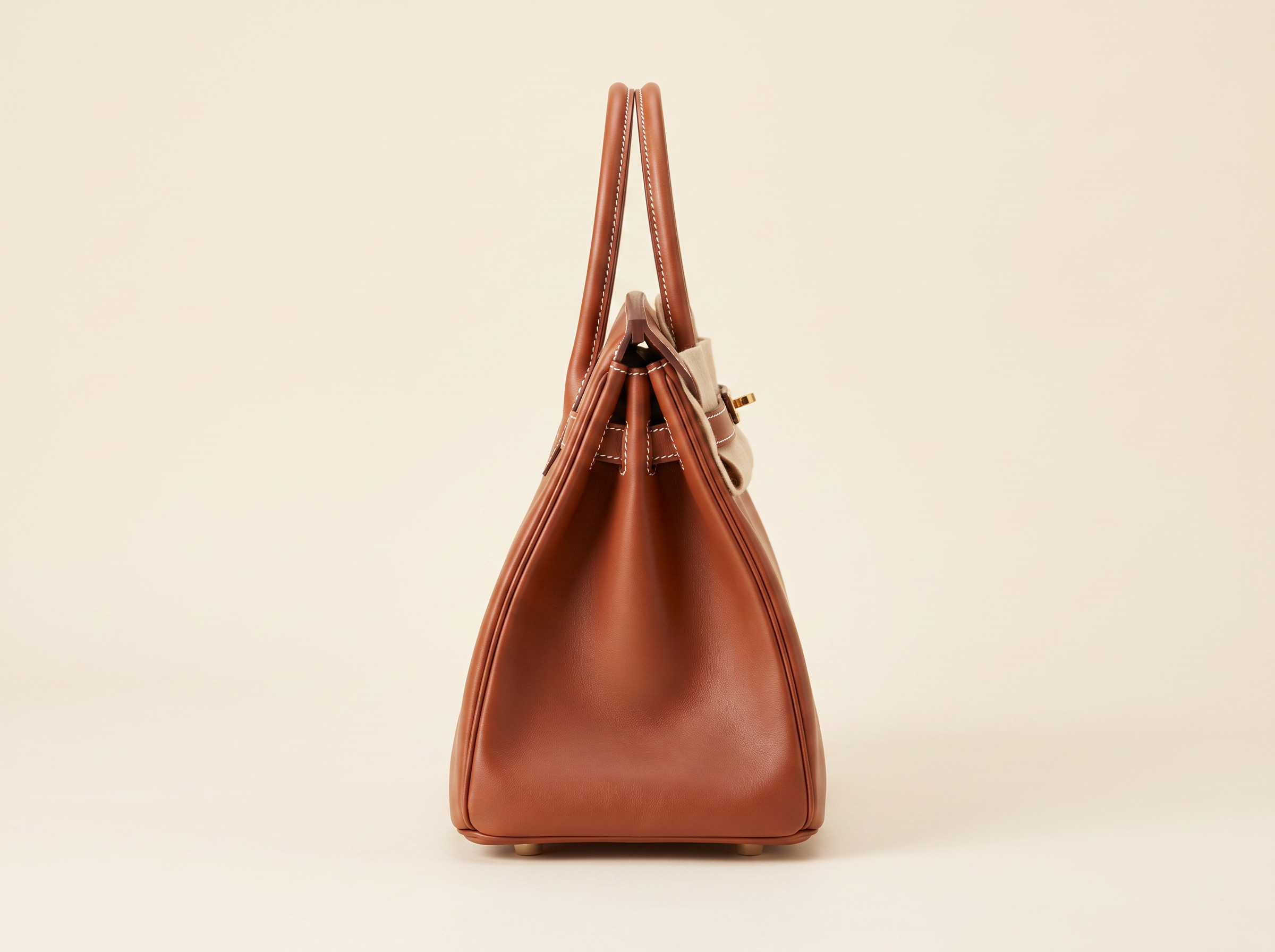 Luxury Leather Handbag Profile.png