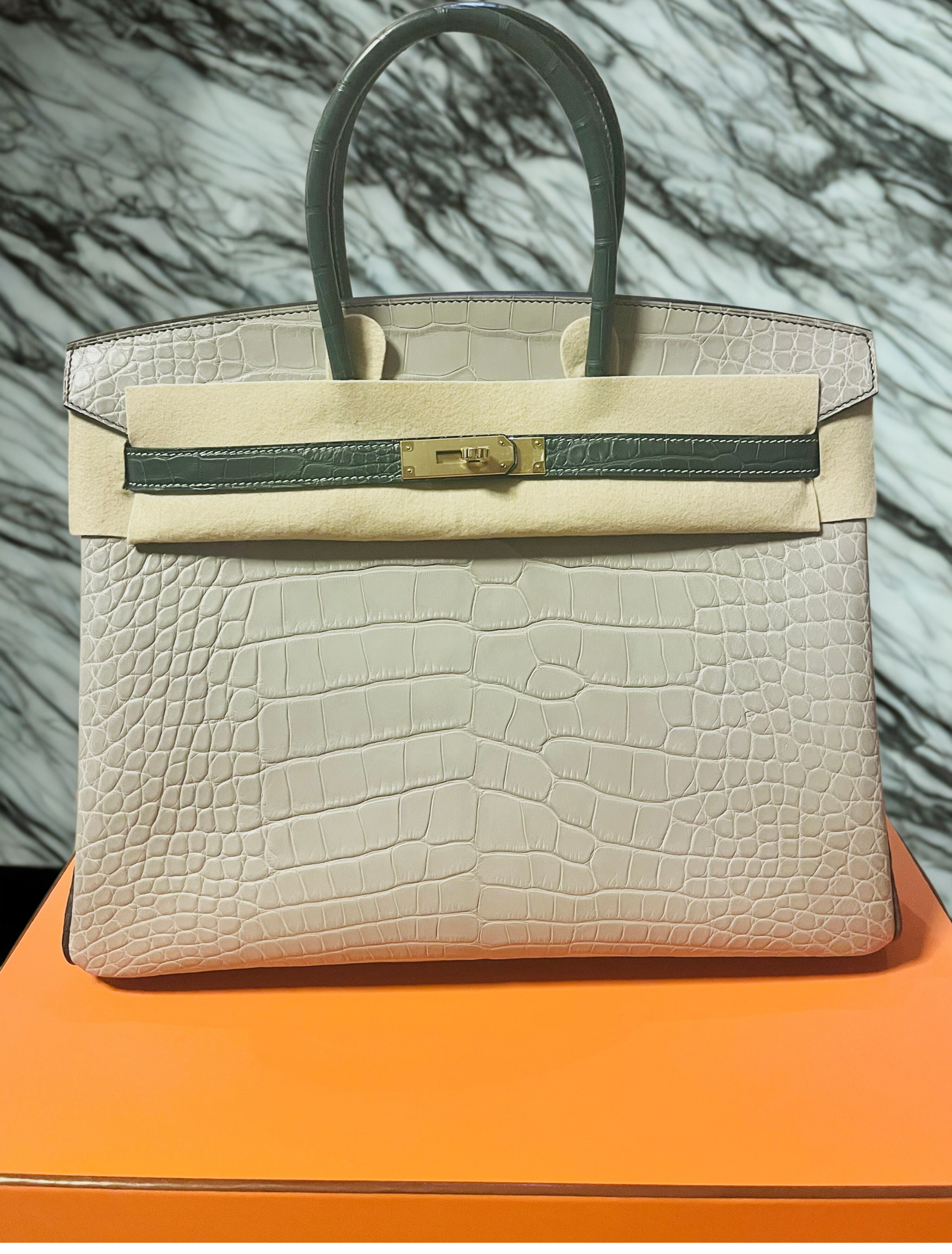 Untitled design (10).PNG