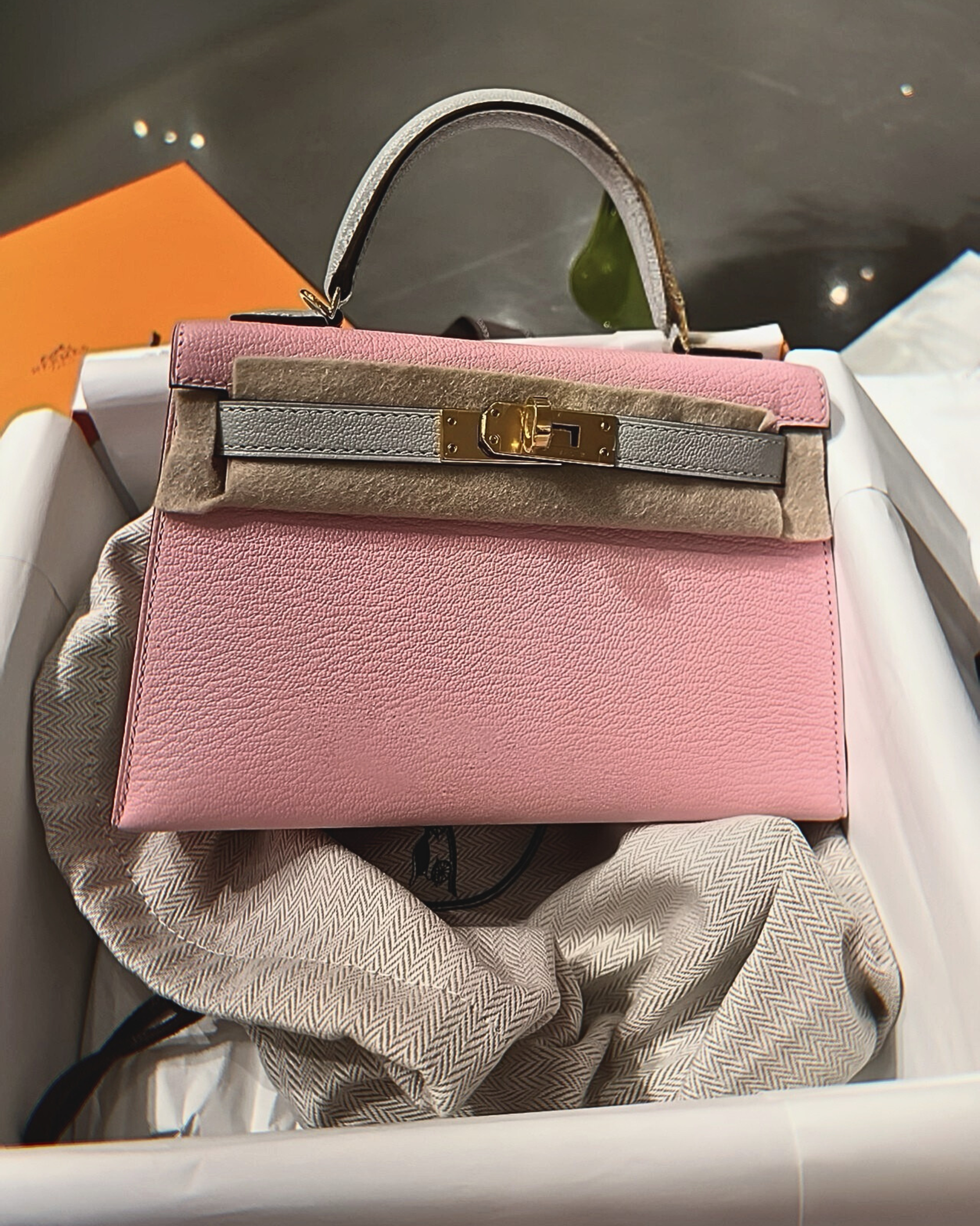 Untitled design (6).PNG