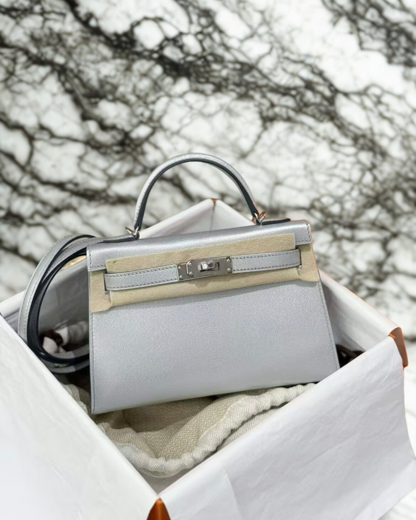 Untitled design - 5 (11).PNG