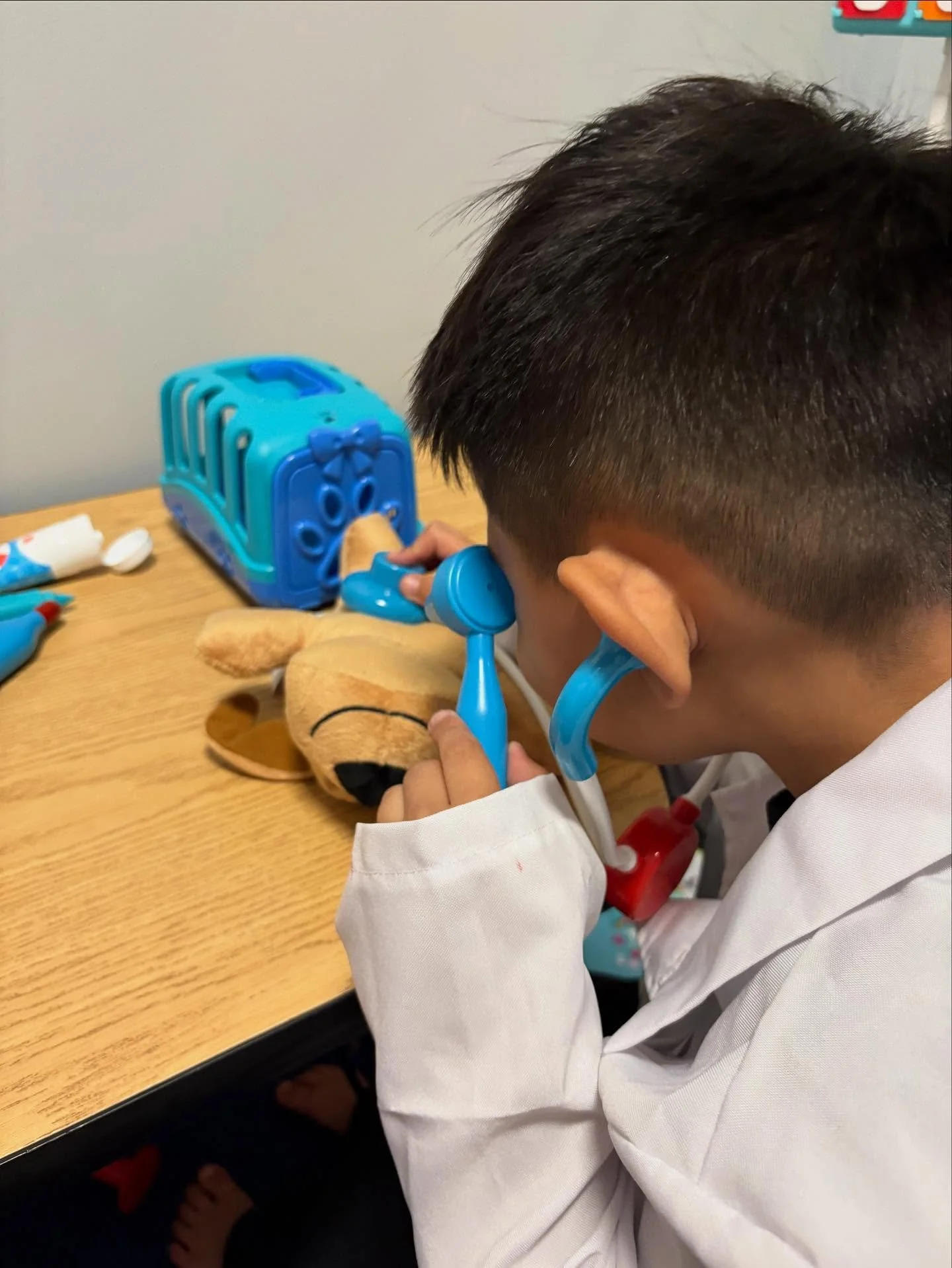 πΎπ Watching little ones learn through play is pure magic. Today our “vet in training” cared for stuffed animals while reading Where’s Spot? — building language, motor skills, and confidence along the way. Therapy that feels