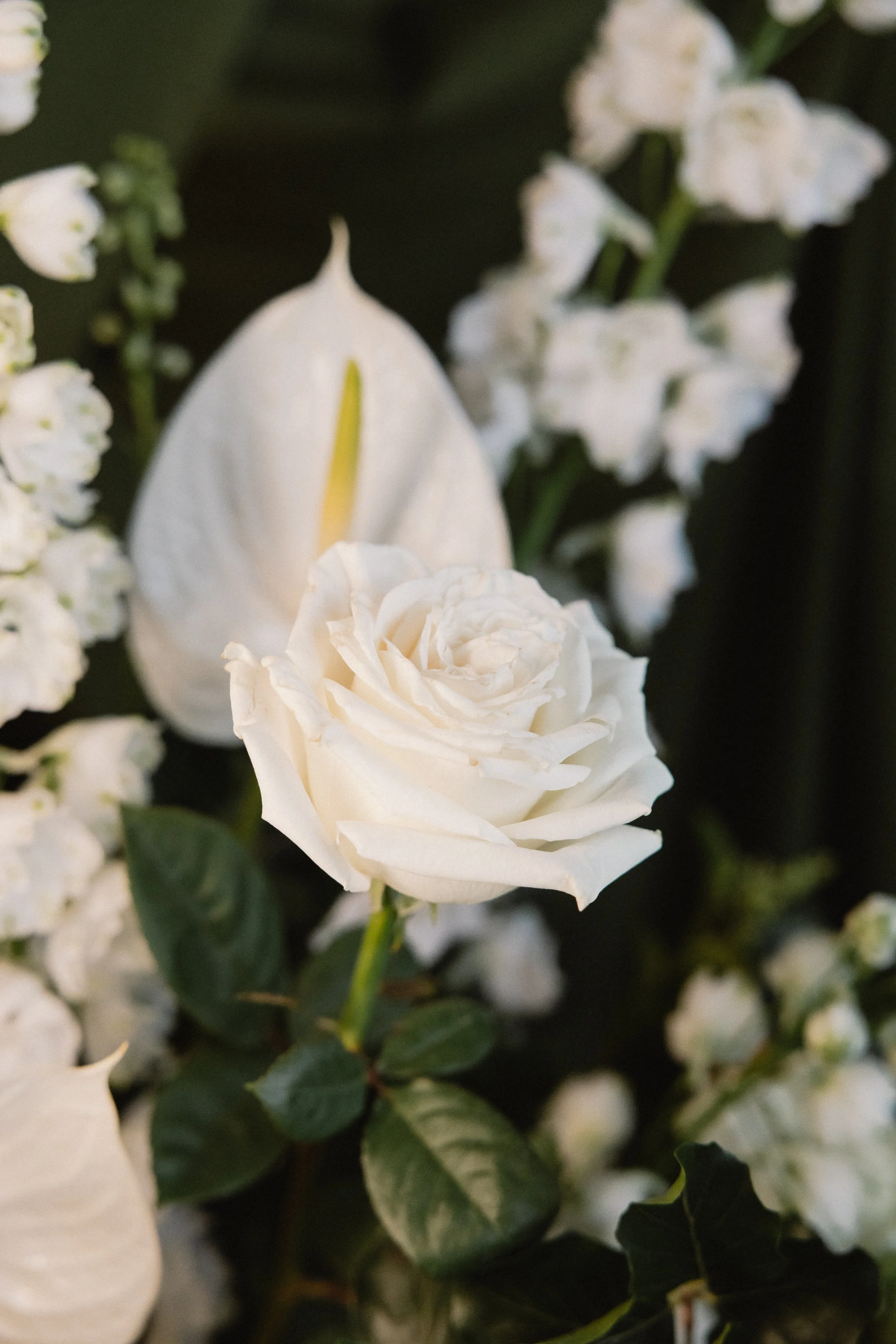 Hitch and Hooray BTS-4.jpg