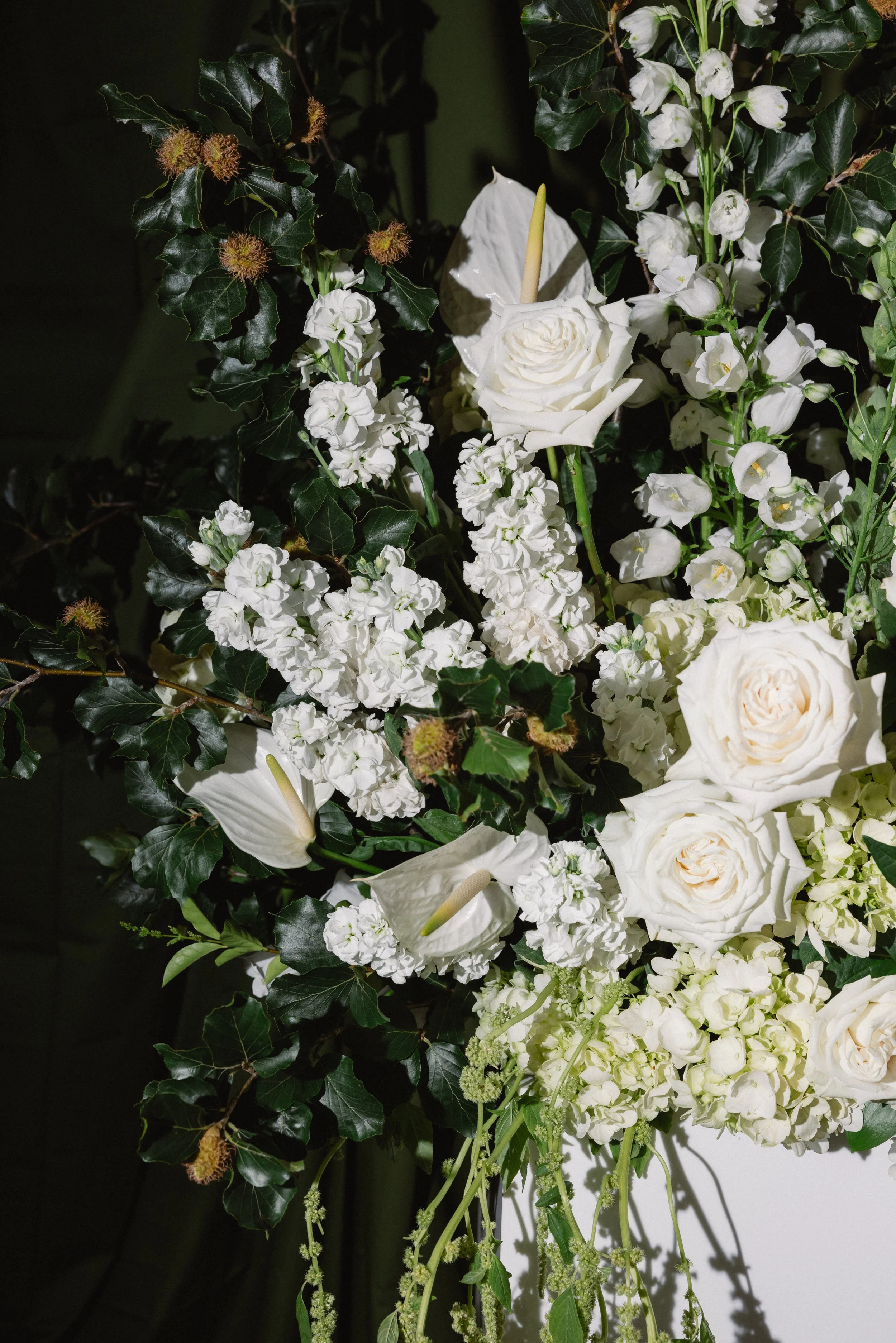 Hitch and Hooray BTS-50.jpg