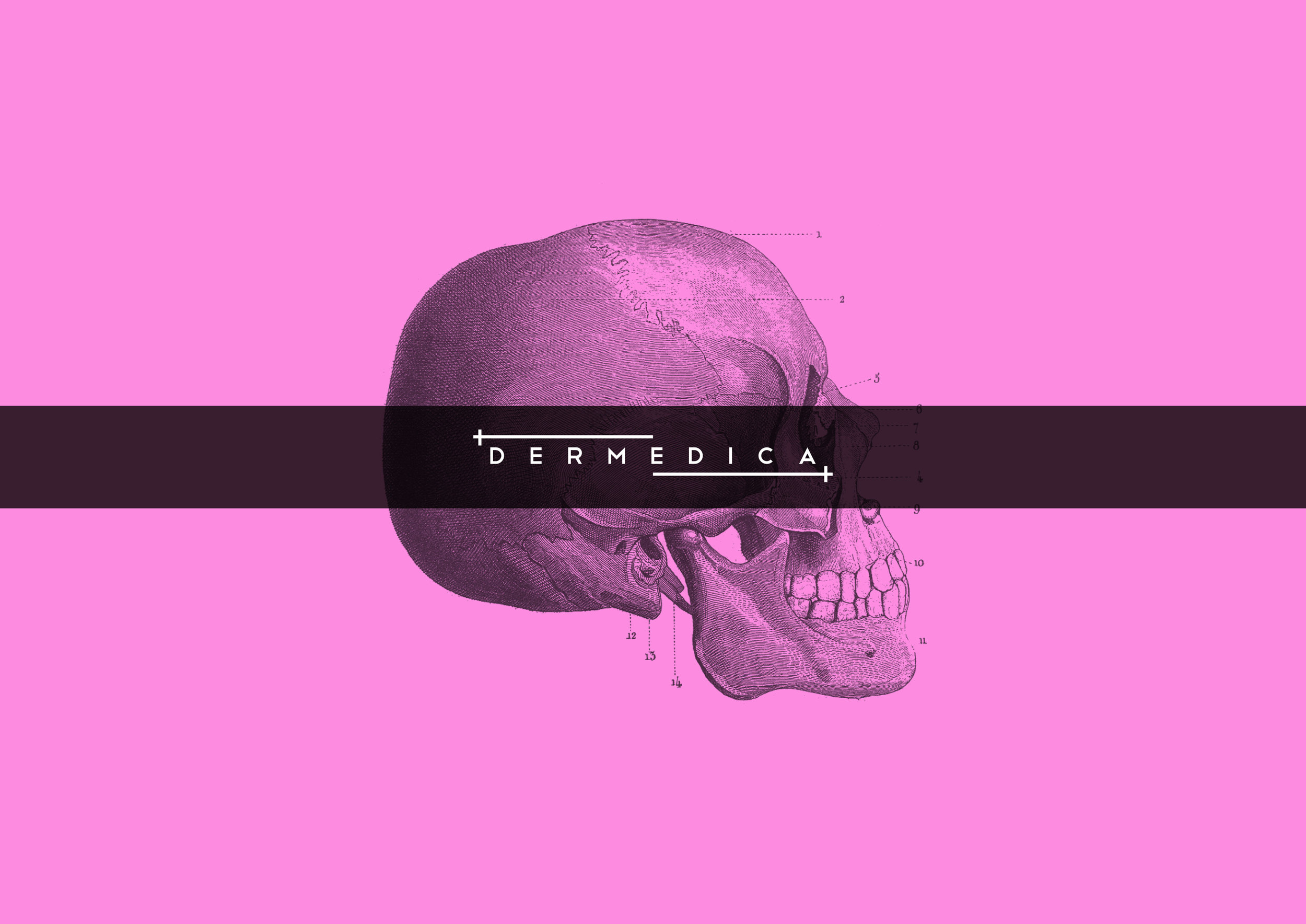 DERMEDICA_FULL LOGO copy 3.jpg