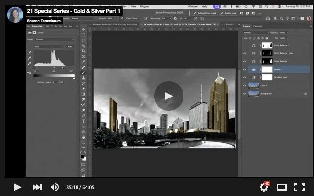 21 Special Series - Gold & Silver Part 1