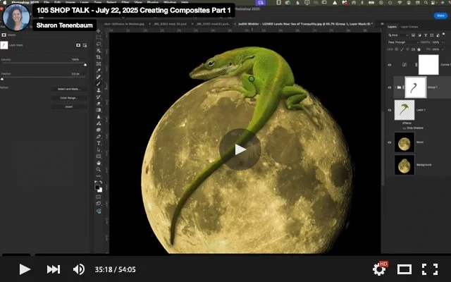 105 SHOP TALK - July 22, 2025 Creating Composites Part 1.jpg