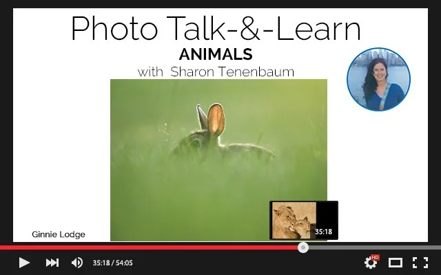 VIDEO COVER _YouTube_Player copy 8.jpg