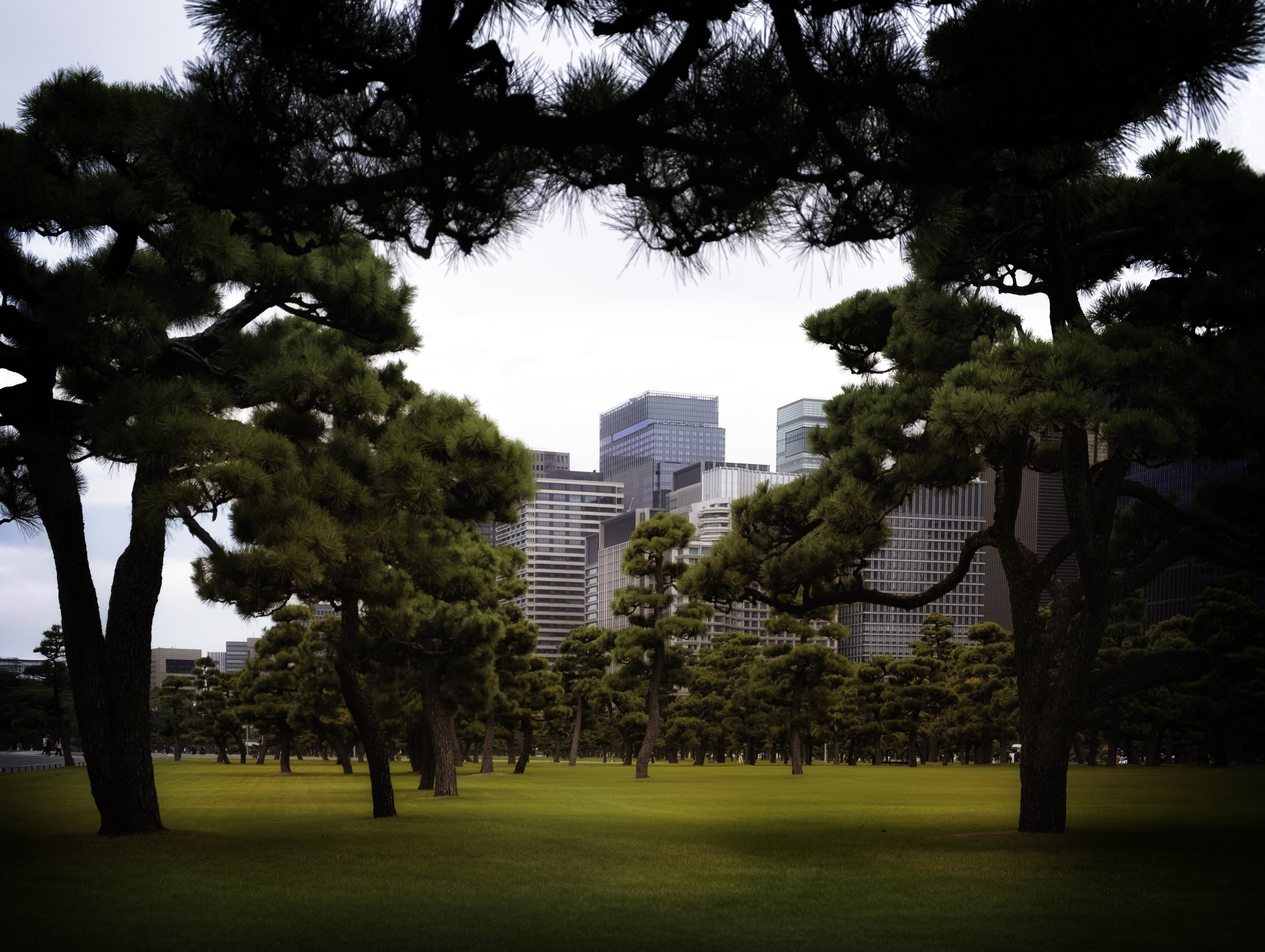 Royal Palace Gardens, Tokyo