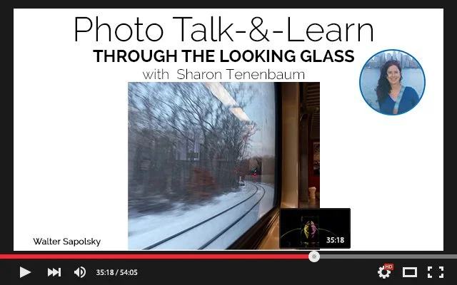 273 Talk & Learn Jan. 27, 2025 - Through the Looking Glass