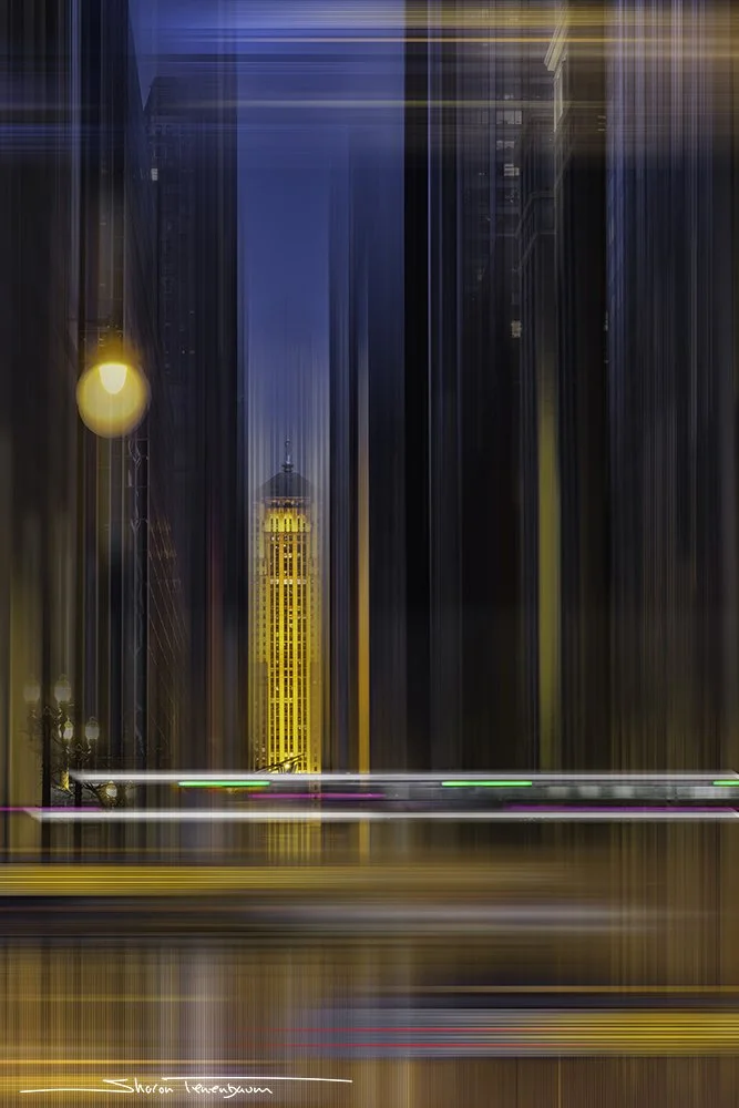 Chicago L-Train Wacker & LaSalle.jpg