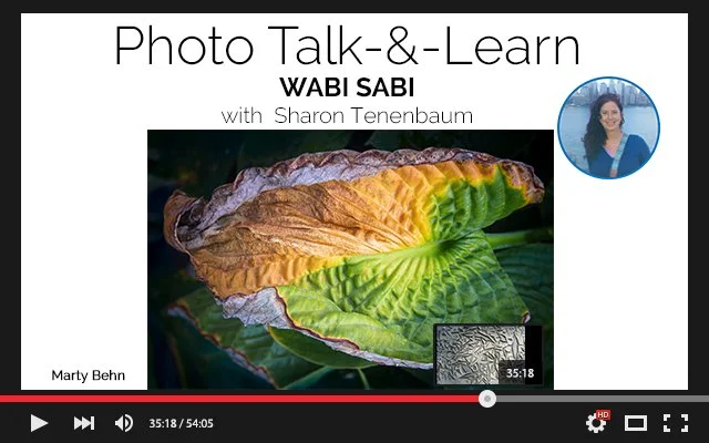 VIDEO COVER _YouTube_Player copy 7.jpg