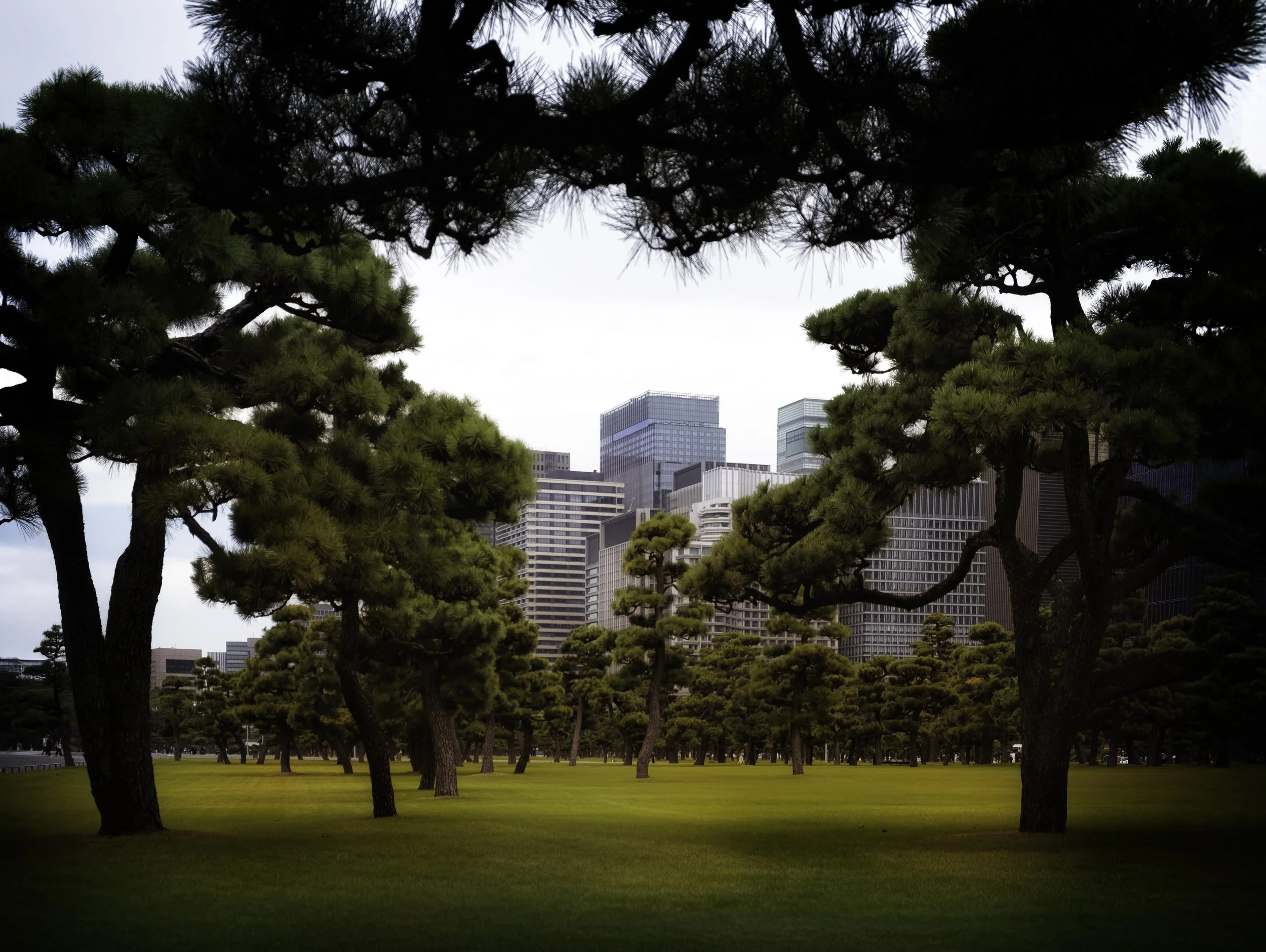 Royal Palace Grounds 01.jpg
