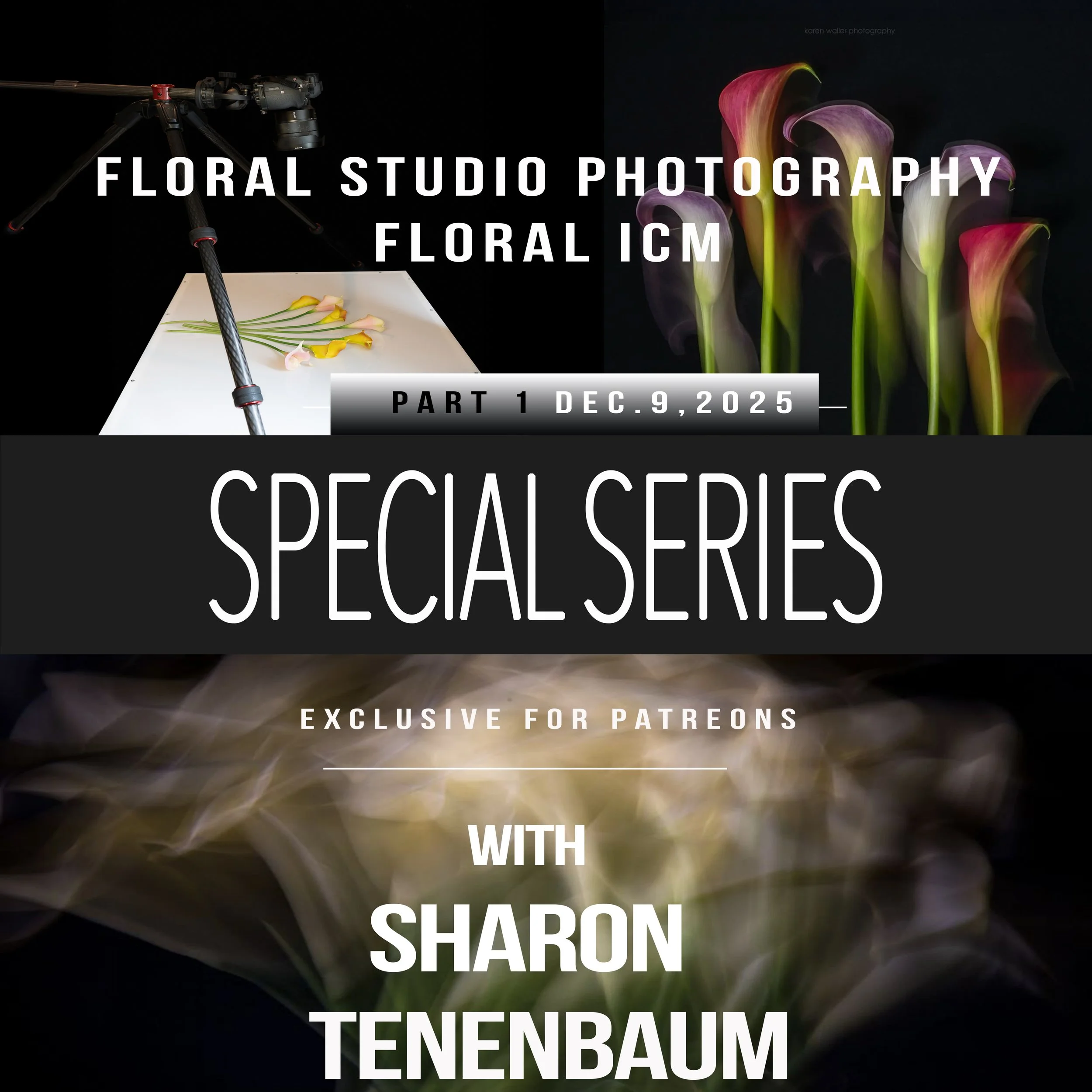 14 Special Series - Floral ICM Part 1.jpg