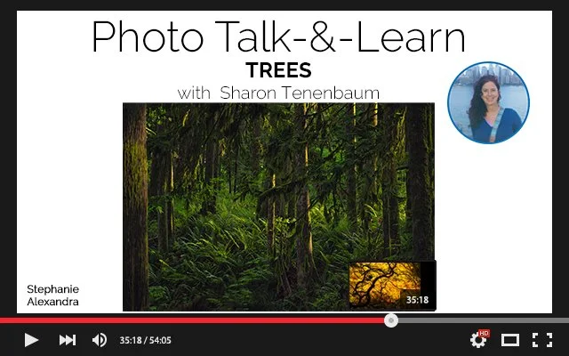 VIDEO COVER _YouTube_Player copy 8.jpg