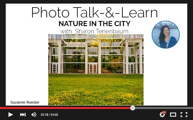 298 Talk & Learn July 28, 2026 - Nature in the City