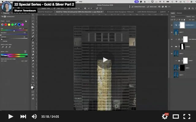 22 Special Series - Gold & Silver Part 2