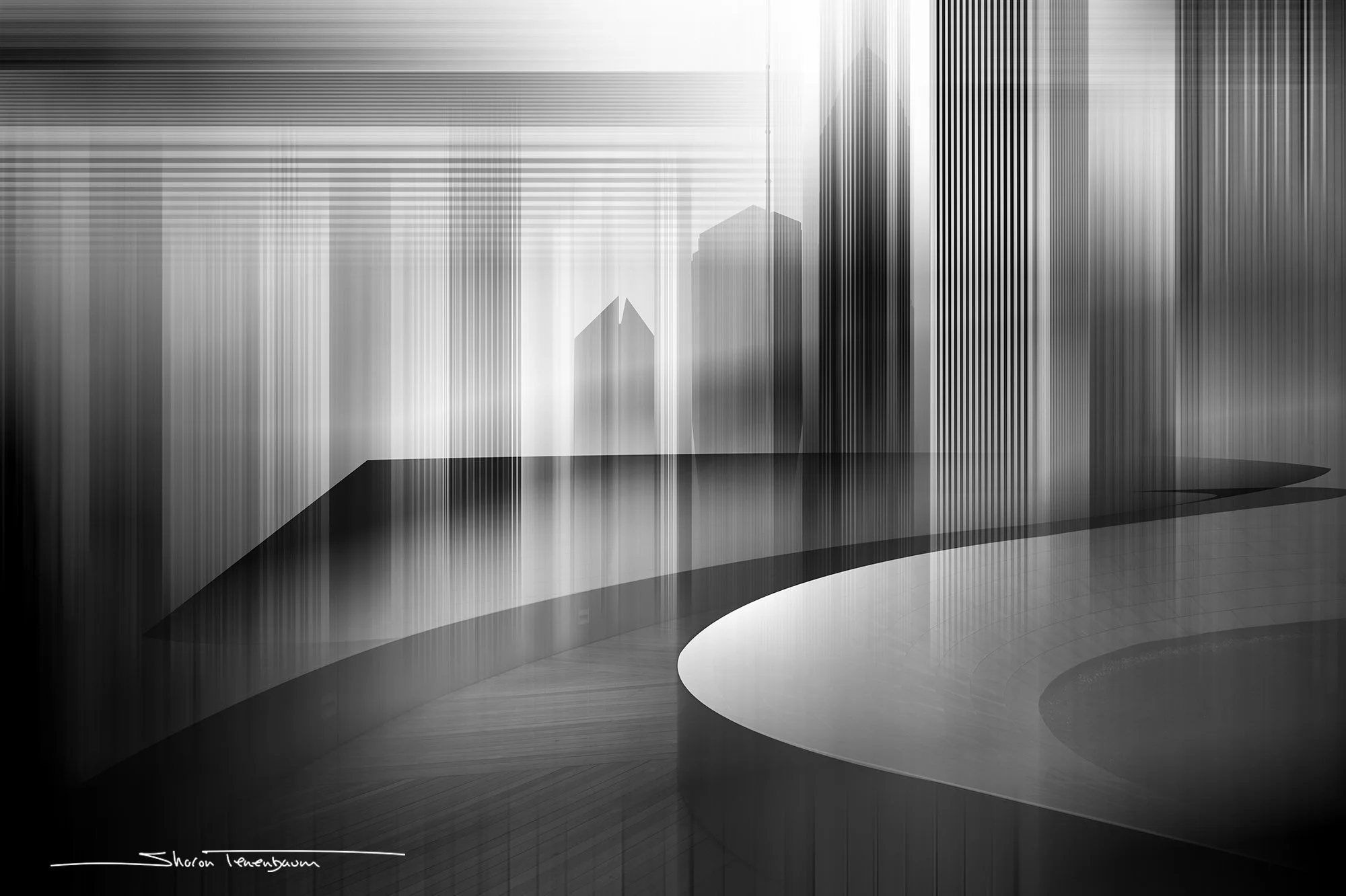 Chicago Skyline BP Bridge Blurred Cityscapes B&W