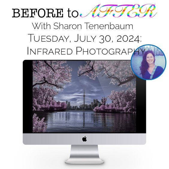 09 Jul. 30, 2024 Infrared Photography.jpg