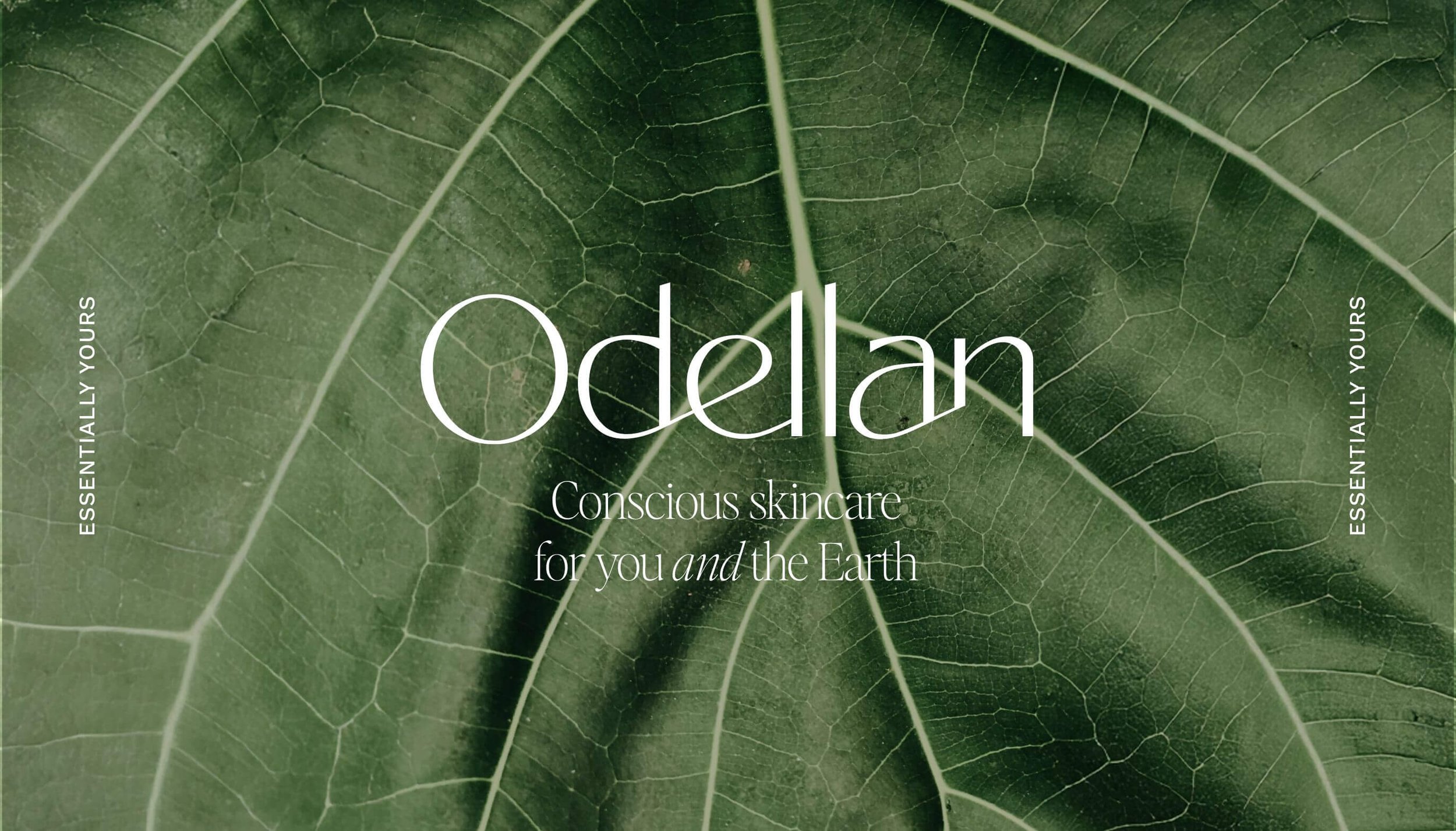The-Design-Order-Odellan-11.jpg