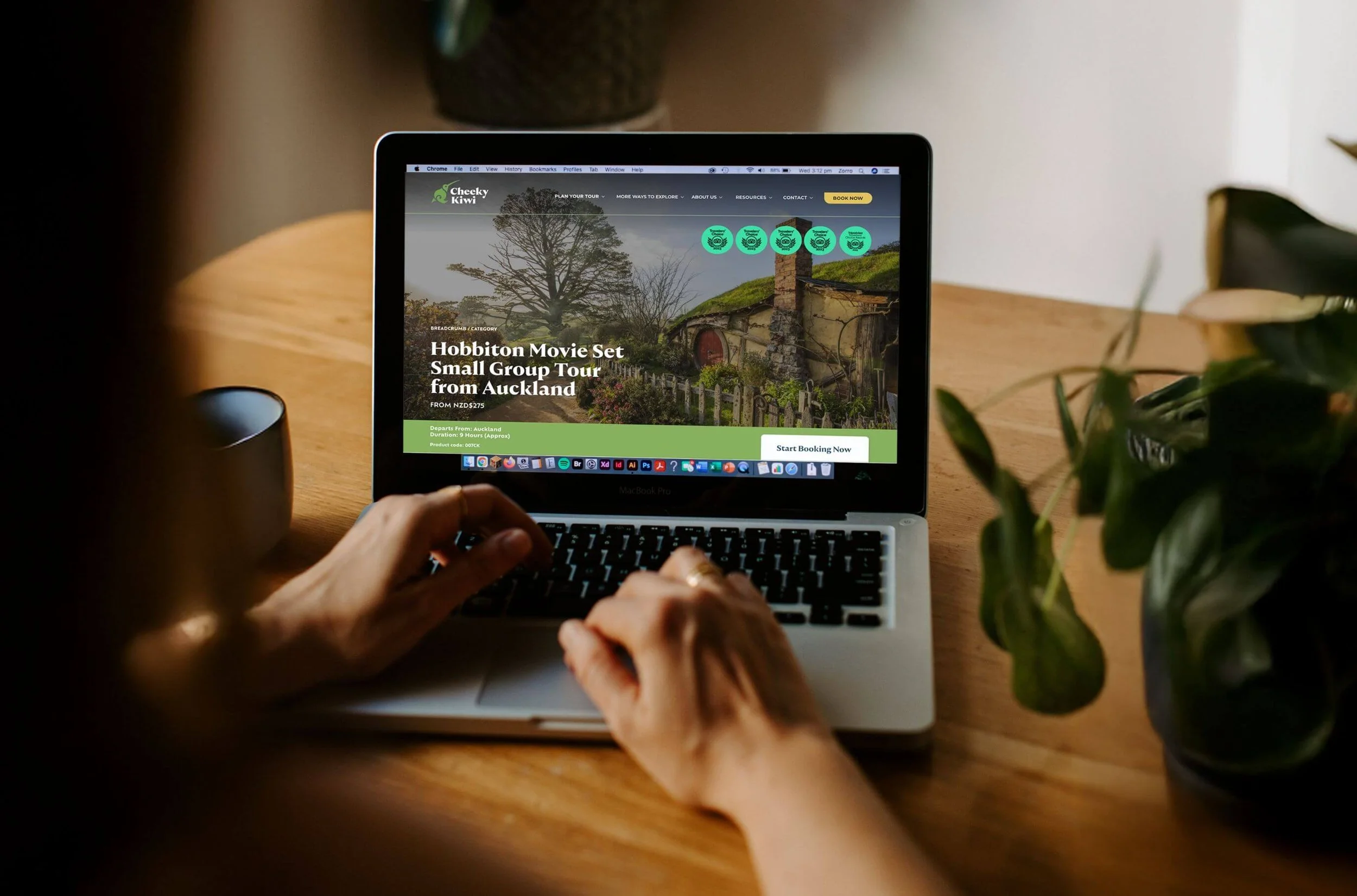 The-Design-Order-Cheeky-Kiwi-1