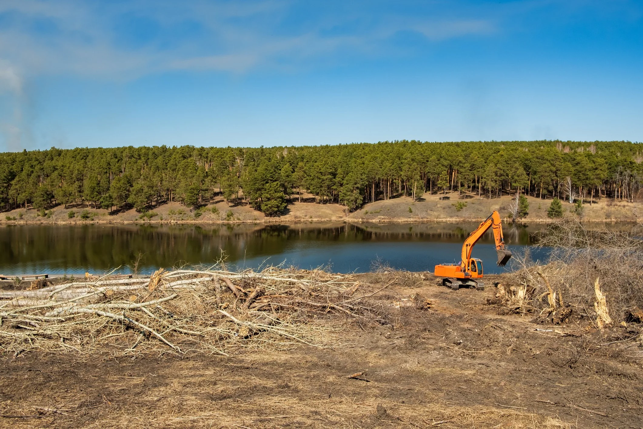Earth Economics | Natural Capital 101