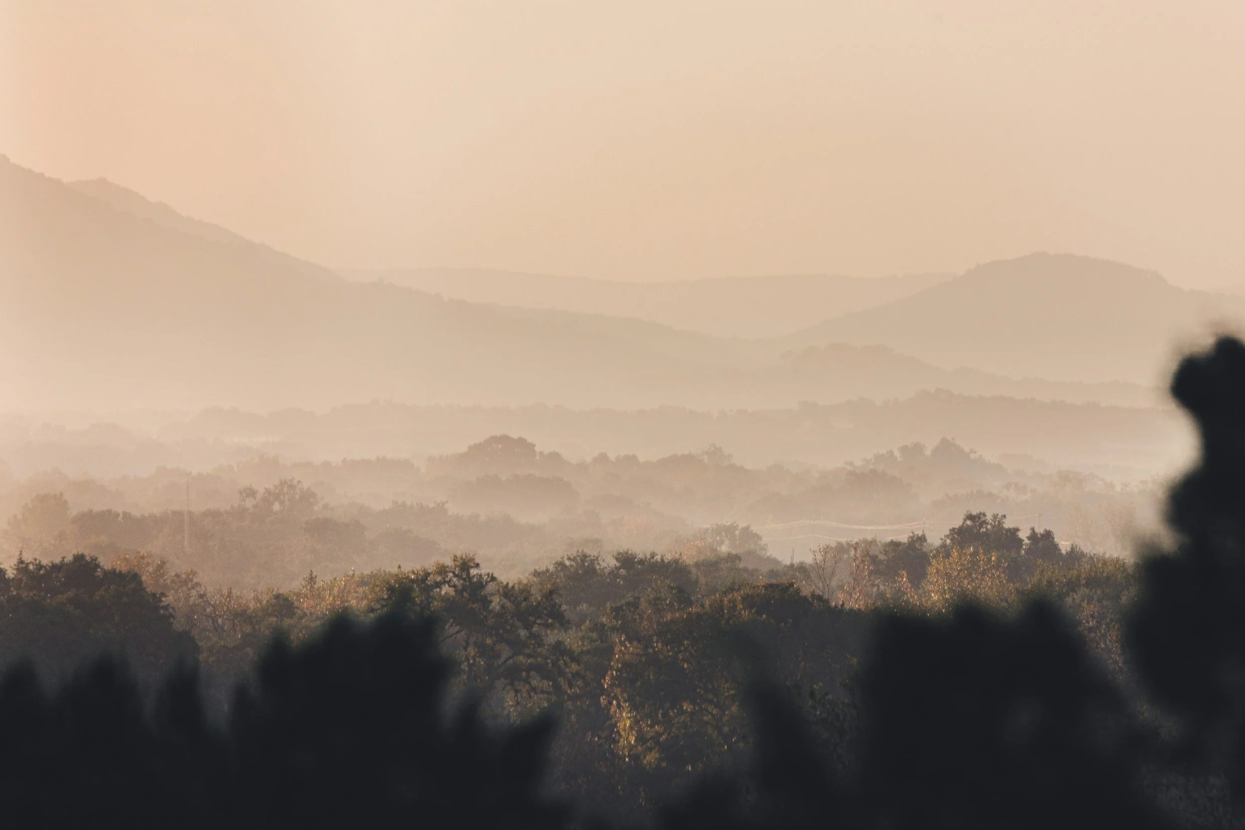 Texas Forests & Water Forum 2025