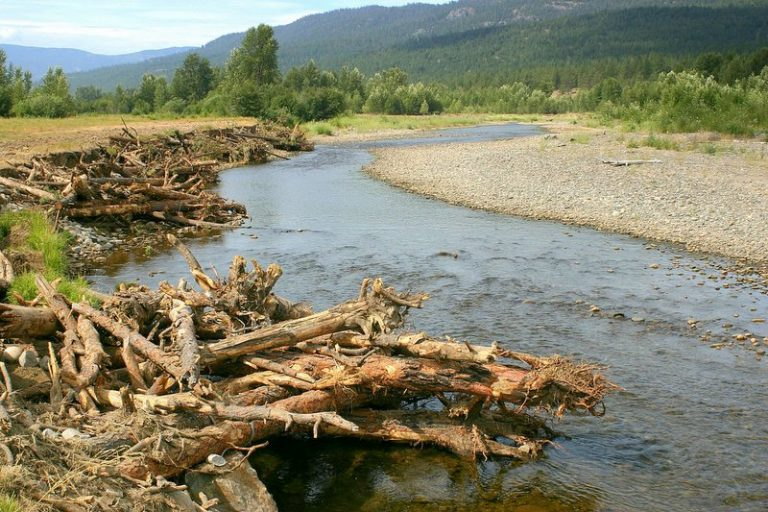 41st Annual Pacific Salmon Commission Meeting