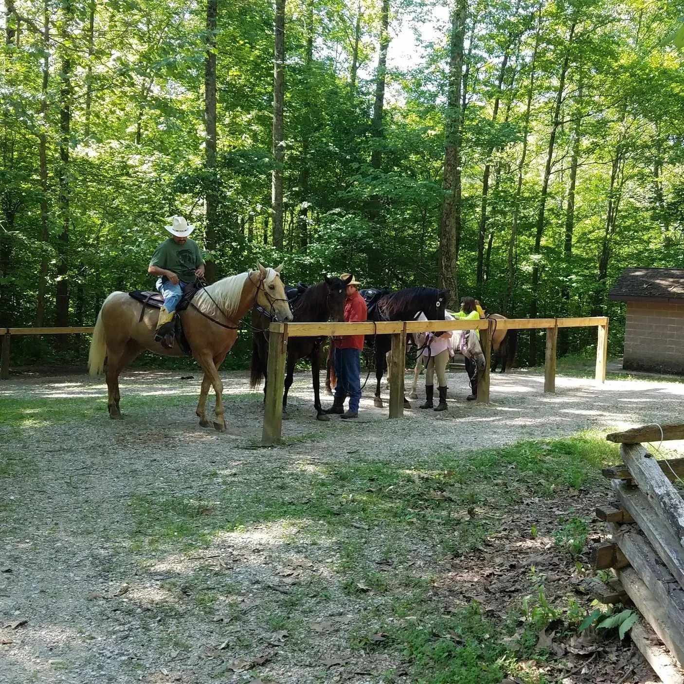 Nature’s Value in Indiana’s Forest Wilderness