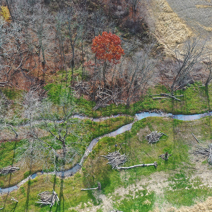 The Ohio Ecological Restoration Association