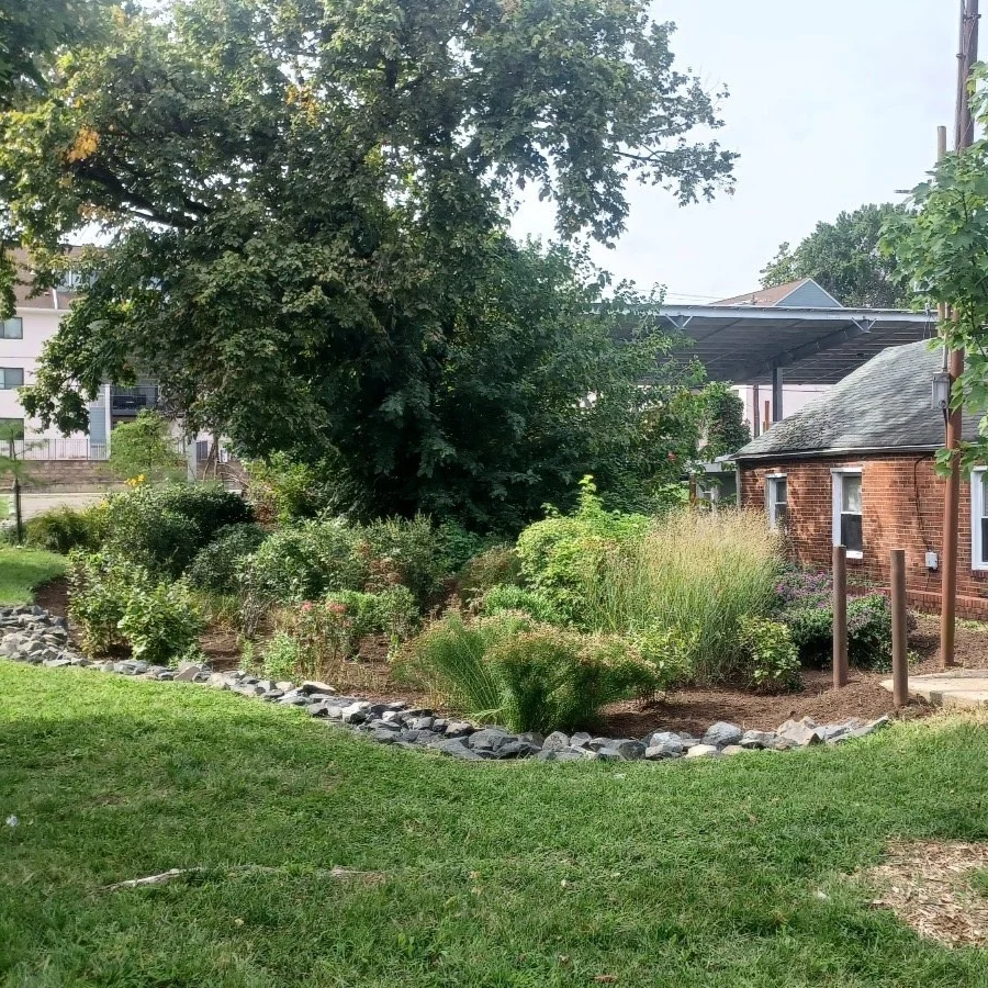 Investing in Green Stormwater Infrastructure in DC