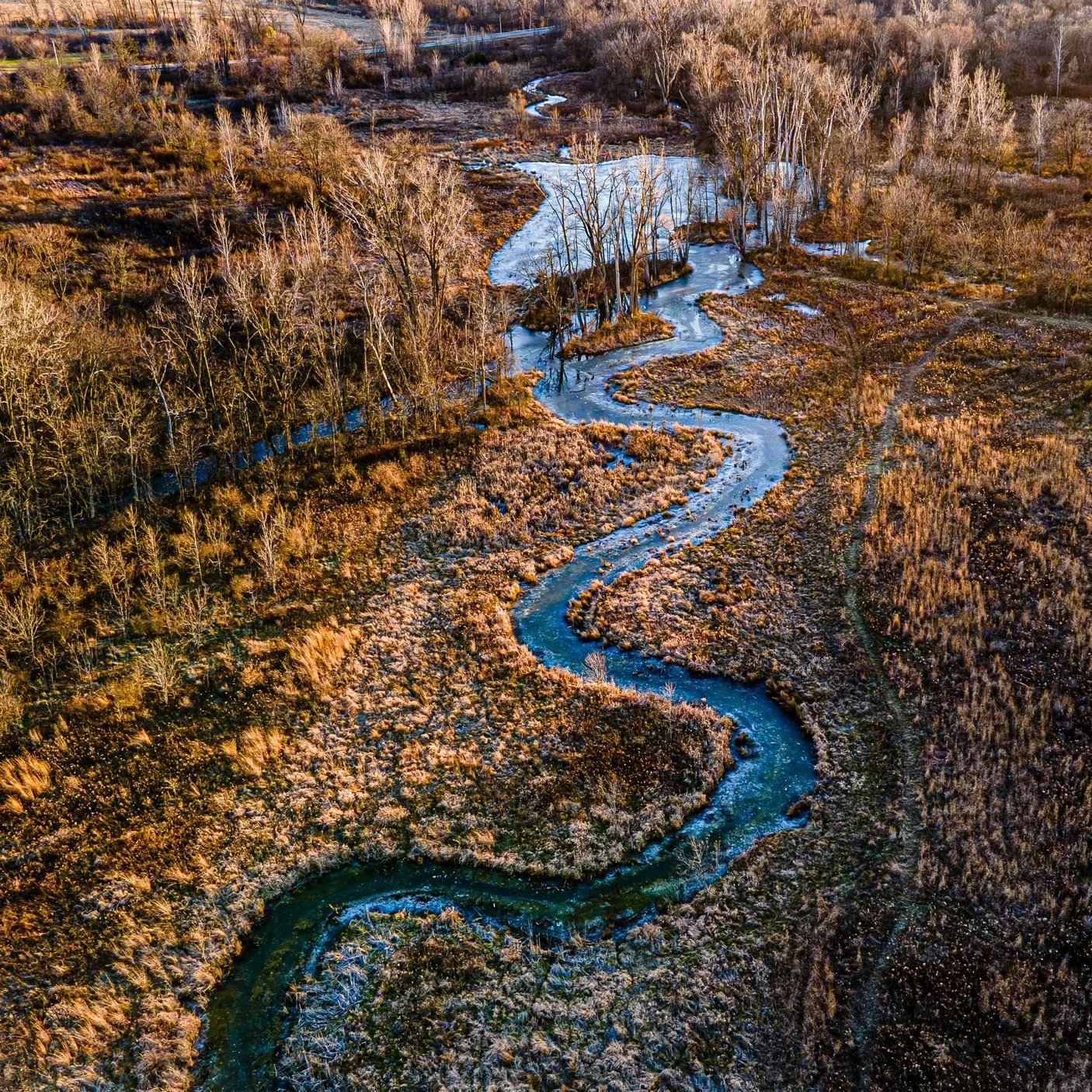 H2Ohio: Crucial Investments to Protect Ohio Wetlands