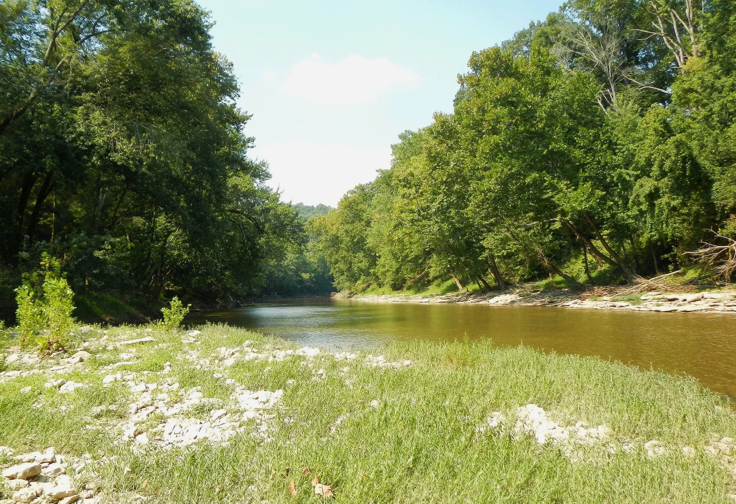 Turn Science into Stories