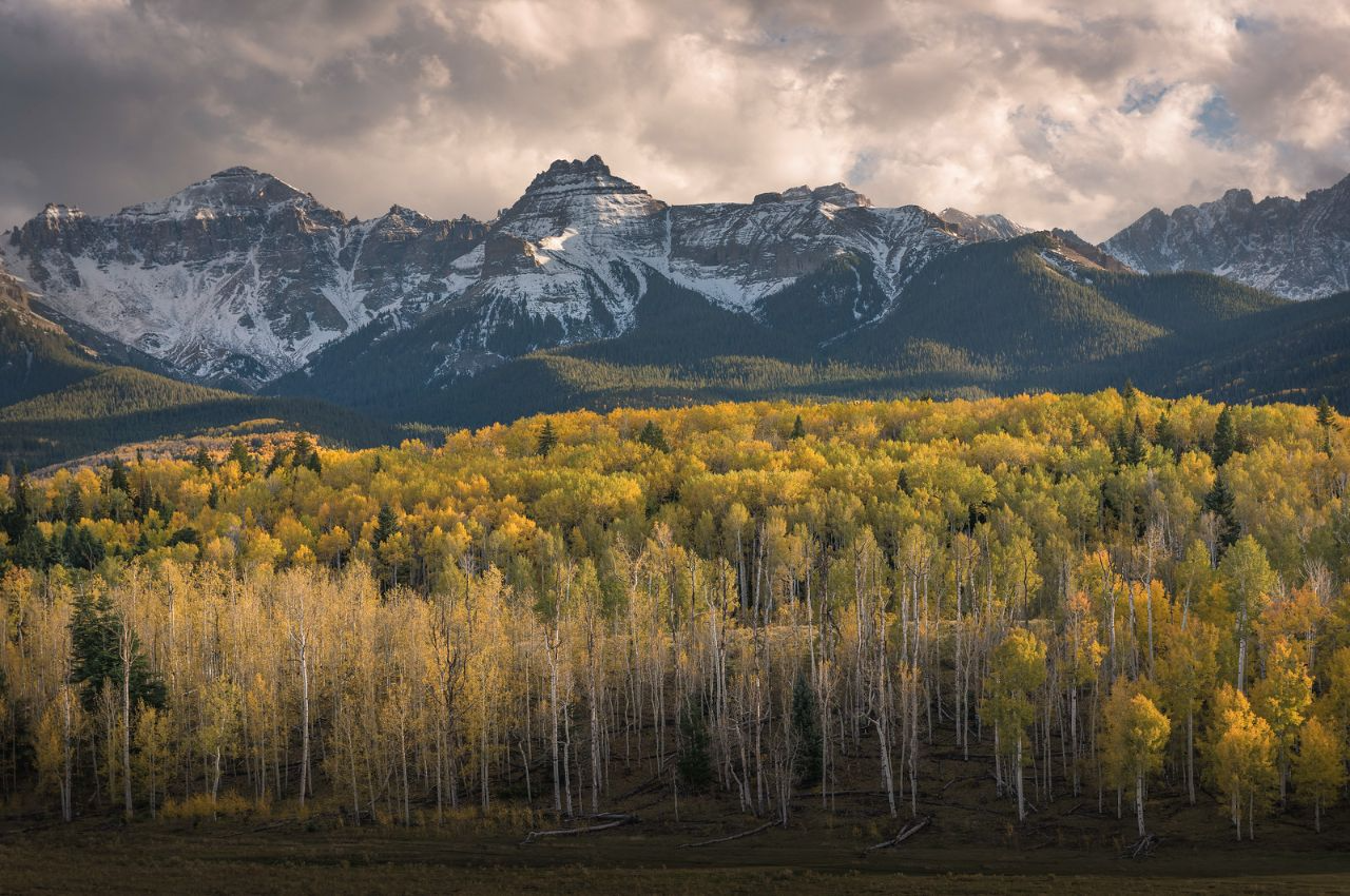 Ecosystem Services and Roadless Areas