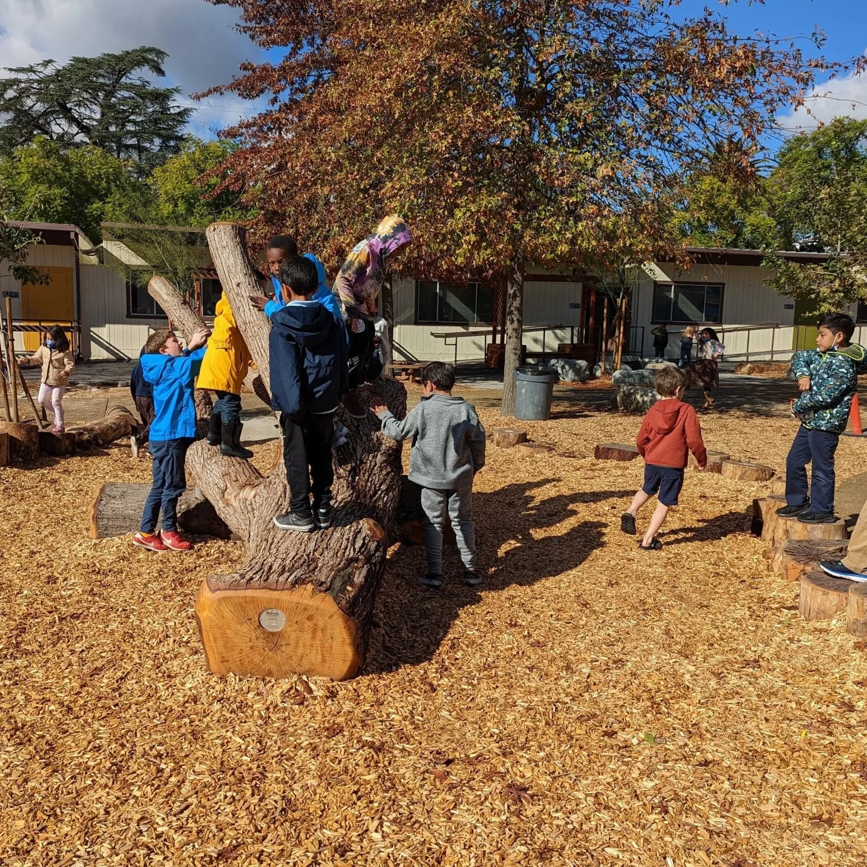 The Benefits of Schoolyard Greening
