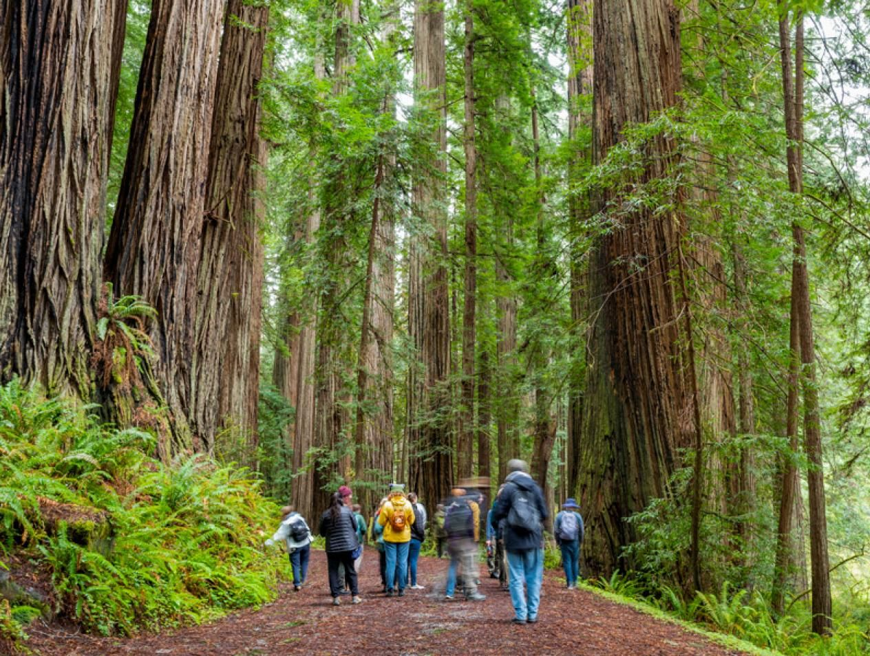 California Outdoor Economy Summit