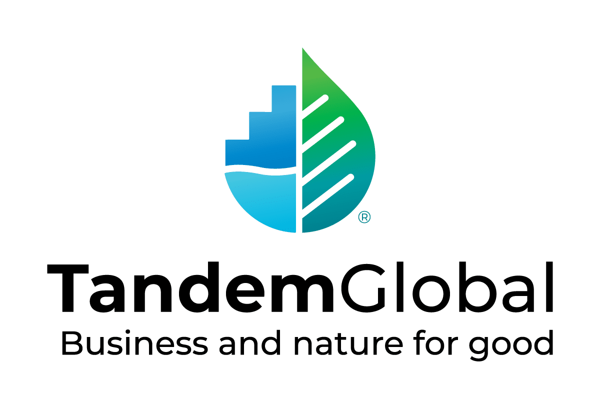 Tandem Global 2026