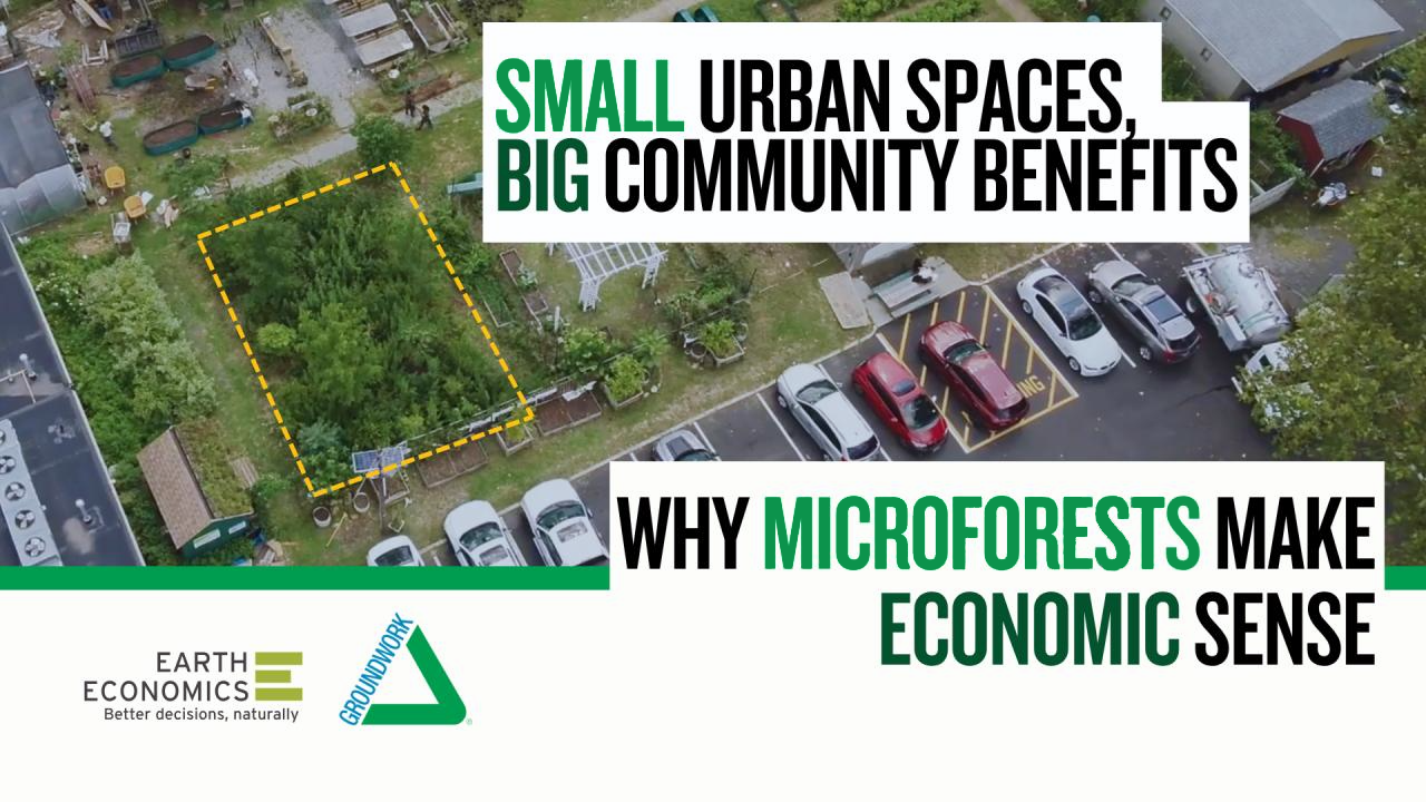 Why Microforests Make Economic Sense