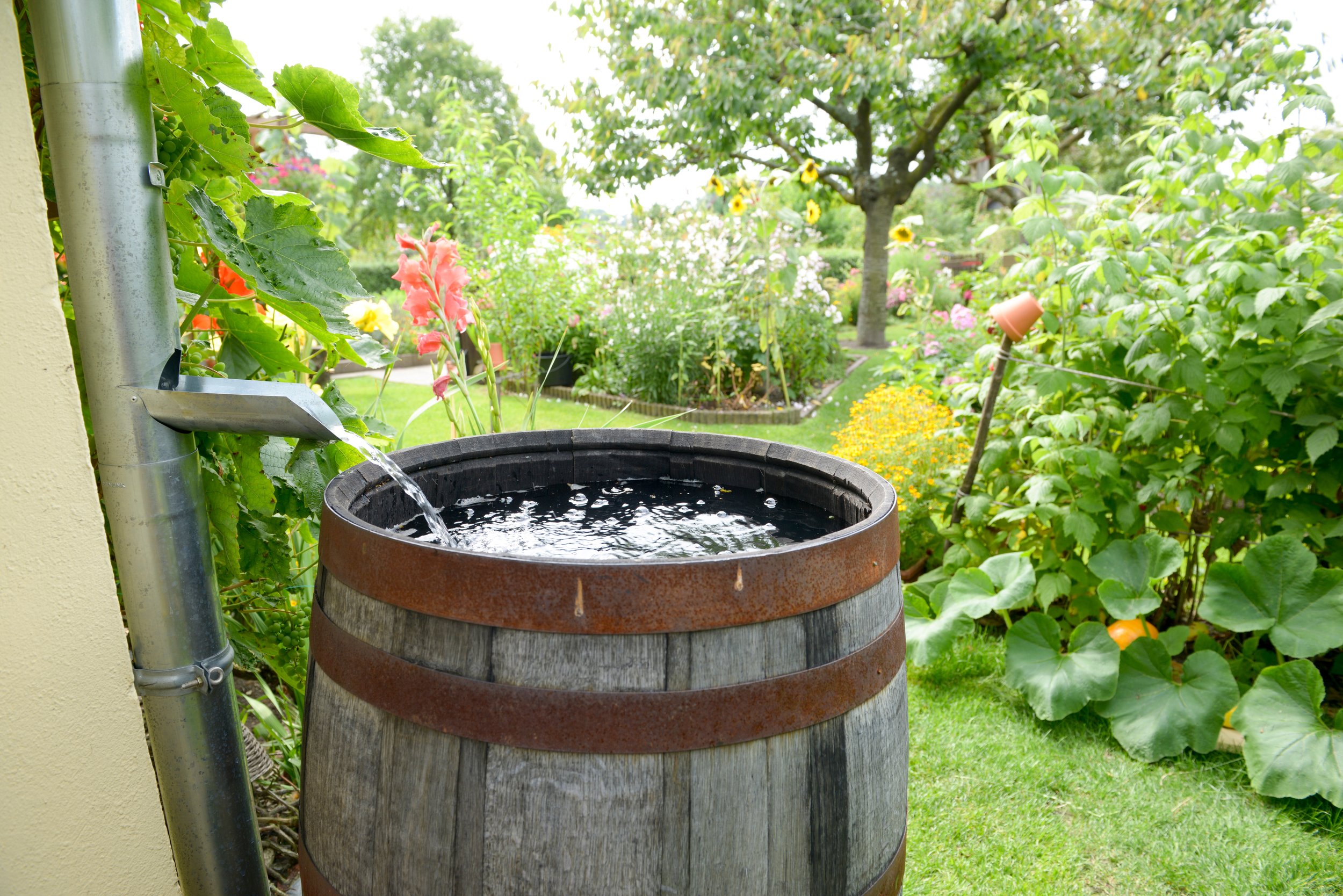 Seattle Water Reuse Calculator