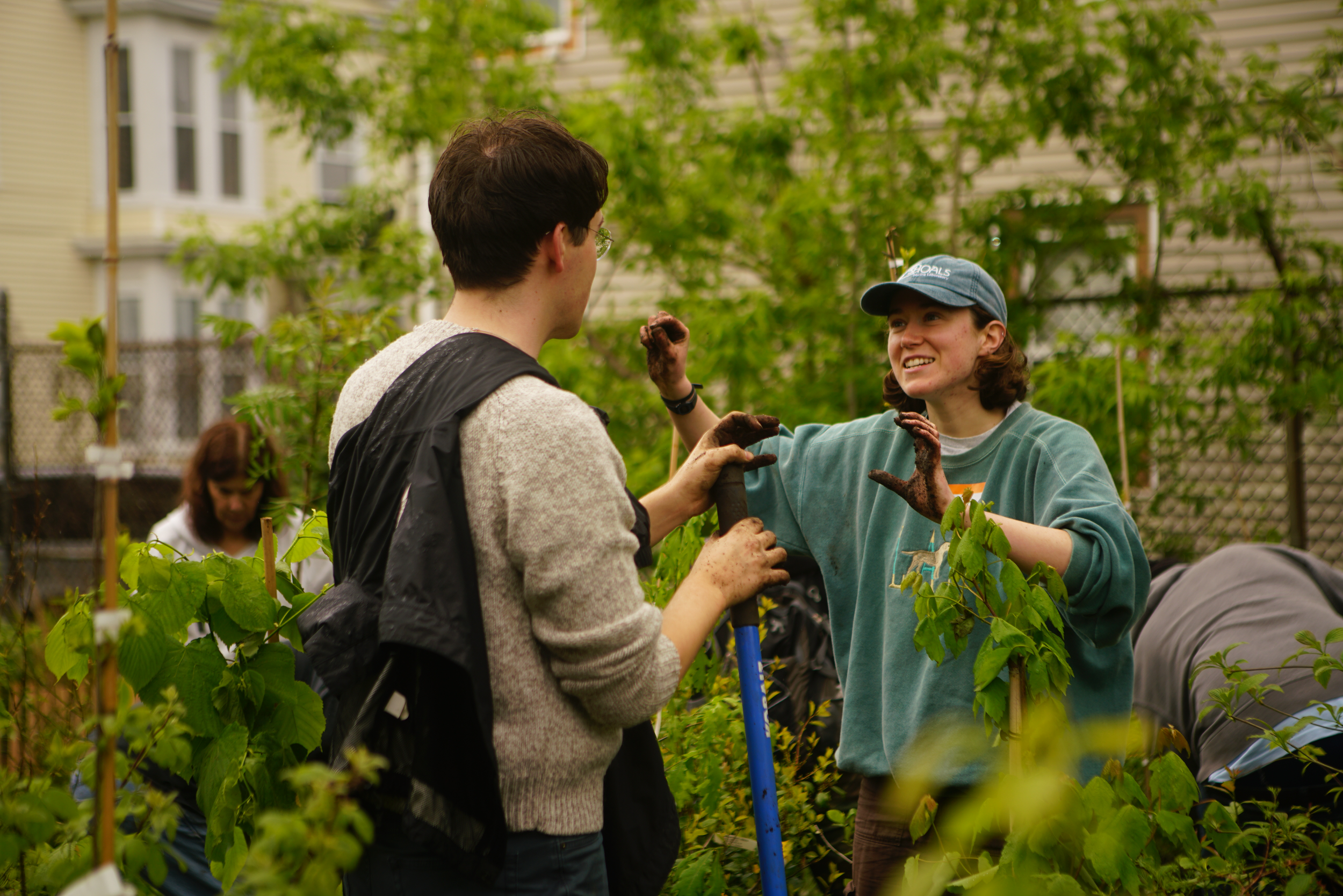 Measuring Microforests: Small Spaces, Big Impact