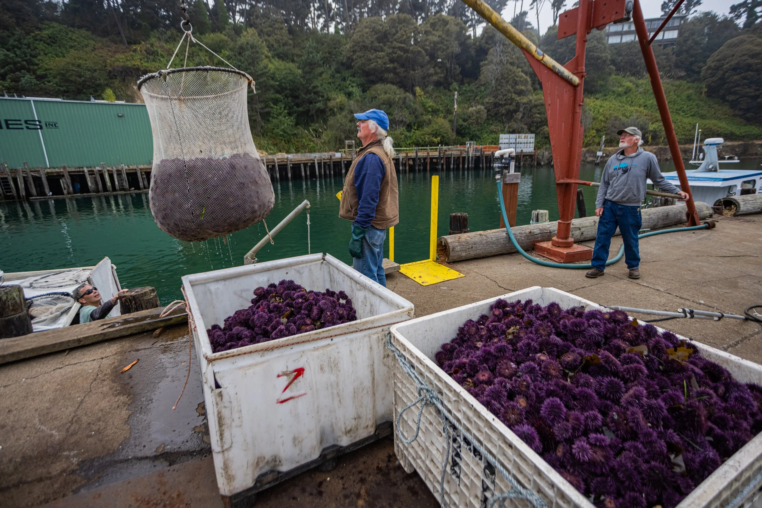 Coastal Restoration Benefits California’s Economy