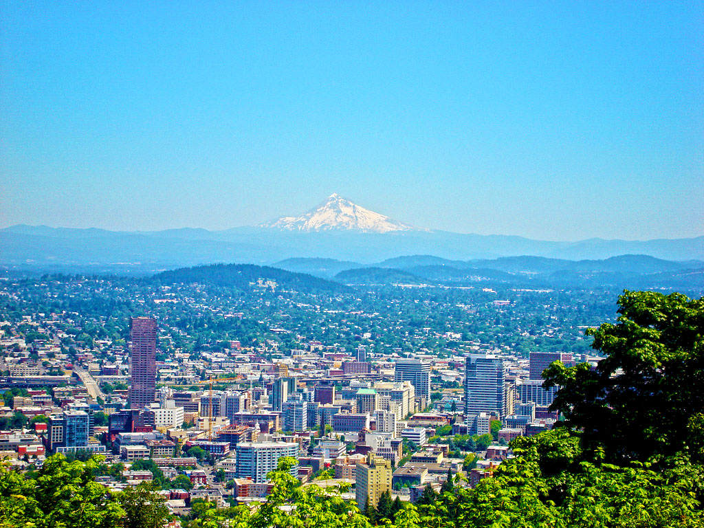 The Power of Connection: Shaping Resilient Public Landscapes
