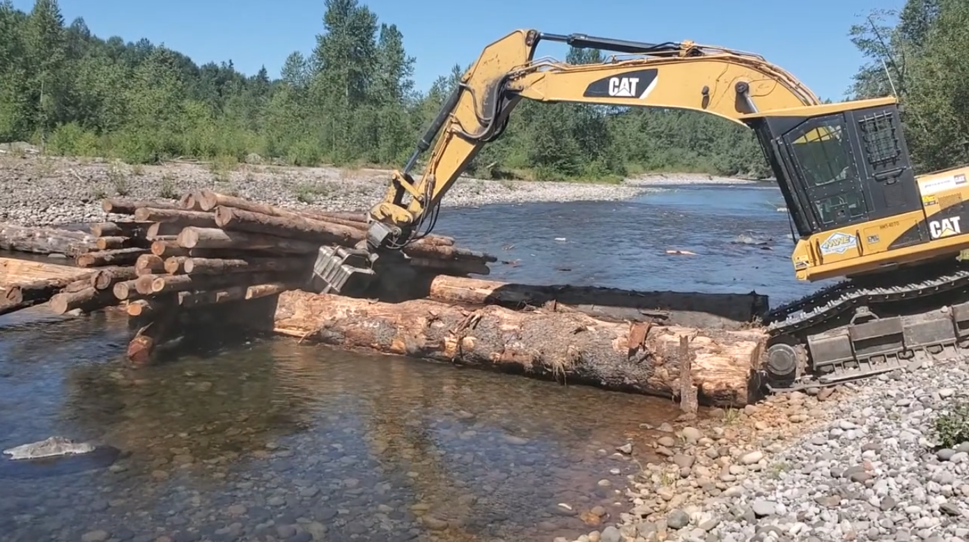 Wetlands Capture Sediment and Expand Habitat