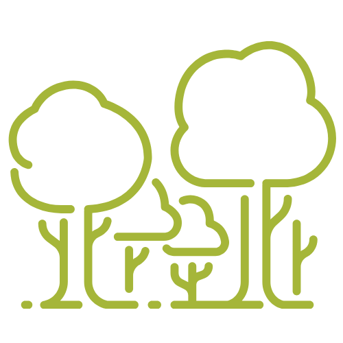 Line drawing of various types of trees in a park or forest.