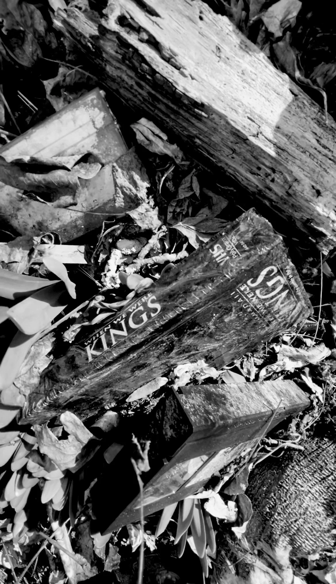 Our Origin Story:                      When we were kings