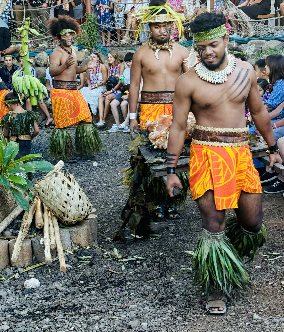 Representation is everything:   How one summer in Hawai'i  changed us