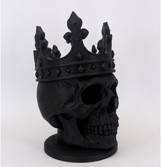 skull_clean_angle.png