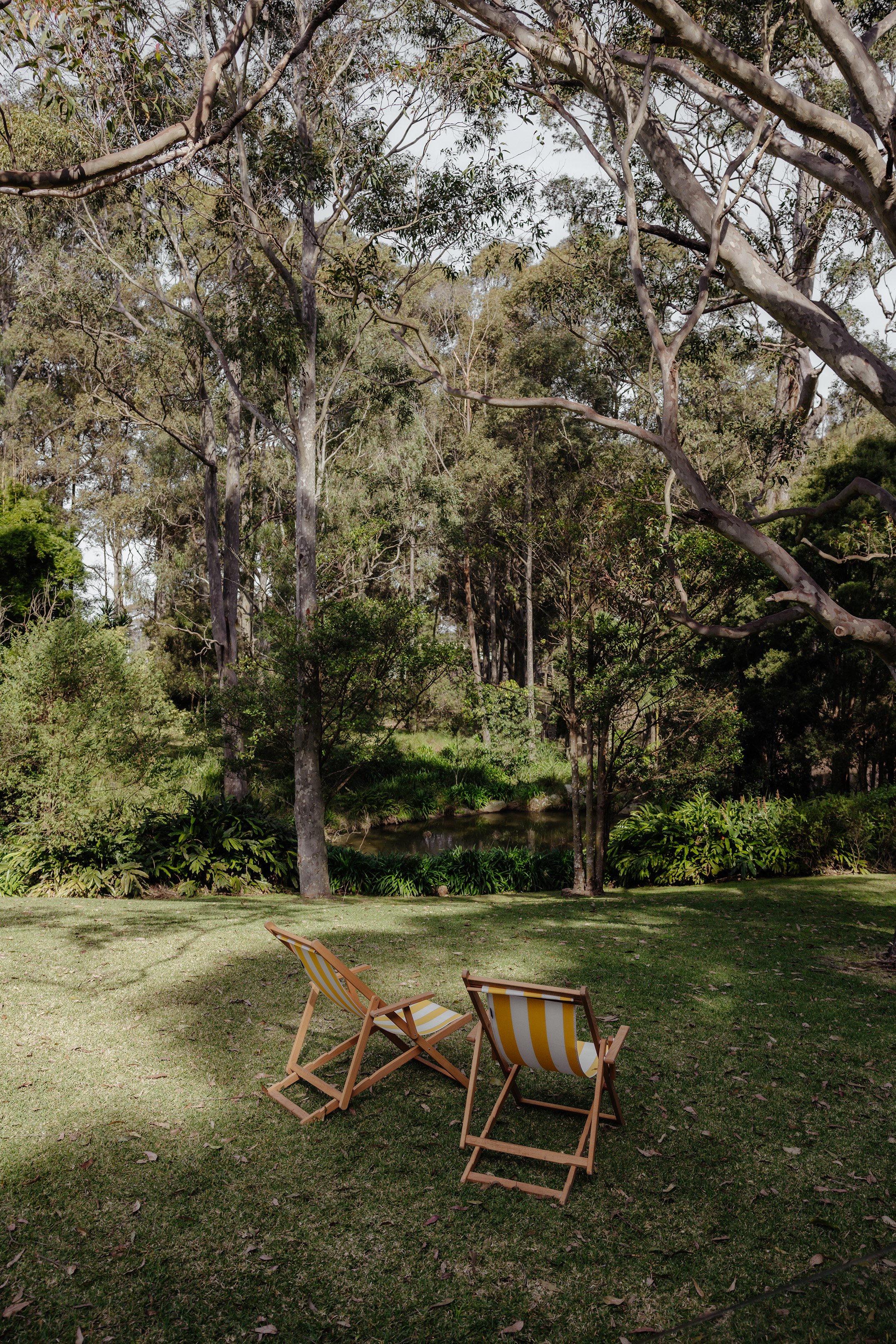 Two striped deck chairs on a lush green lawn facing a small pond surrounded by trees and bushes in a peaceful outdoor setting.